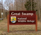 The Great Swamp National Refuge, New Jersey 2008