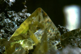 Wulfenite