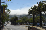 Fog