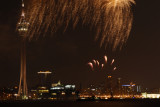Fireworks 2010 (5)