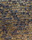 Capped Honey