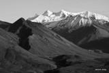 Denali Natl. Park
