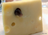 Swiss Mouse
