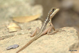 IMG_6627.jpg