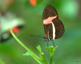 IMG_6941.jpg