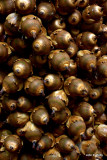 Palm Nuts IMG_6692-1.jpg