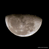 Austin Moon IMG_9536.jpg