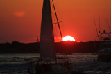 Sail in Sunrise