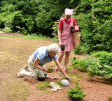 <i>passalong</i> plants