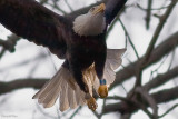 IMG_0301-Edit-Edit-Edit-Edit.jpg