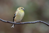 7B7D2991.jpg