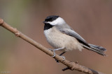 7B7D4134.jpg