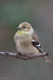 7B7D4618.jpg