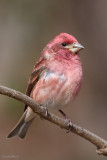 7B7D4381.jpg