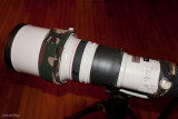 DSC02461.jpg