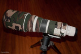 DSC02469.jpg