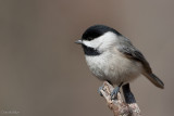 7B7D5587.jpg