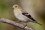 7B7D5570.jpg