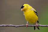 7B7D0640.jpg