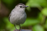 7B7D2176.jpg