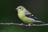 7B7D2144.jpg