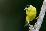 7B7D4757.jpg