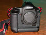 DSC02616.jpg