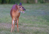 IMG_3121.jpg