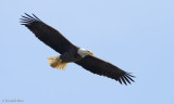 IMG_4432.jpg