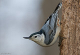 IMG_6001.jpg
