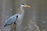 7B7D0943.jpg
