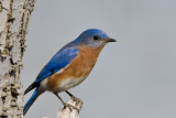 7B7D0845.jpg