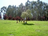 PICT5477.jpg