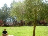 PICT5495.jpg