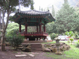 IMG_2572.JPG