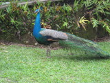 IMG_2645.JPG
