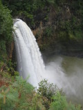 IMG_2867.JPG