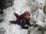 IMG_9052.JPG