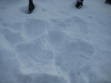 IMG_9075.JPG