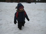 IMG_9515.JPG