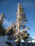 IMG_9736.JPG