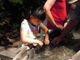 DSCN5912.JPG