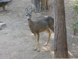 DSCN5937.JPG