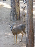 DSCN5945.JPG