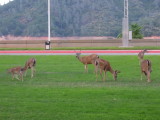 DSCN6010.JPG