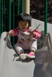 IMG04638.jpg