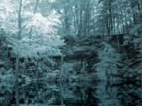 ASTABULA_09_24_08_001.JPG