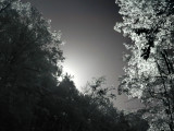 ASTABULA_09_24_08_004.JPG