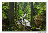 Cascade, Wahkeena Creek