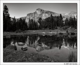 Mount Dana Reflection